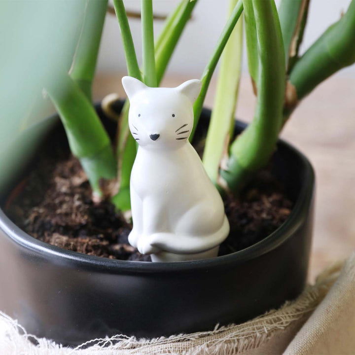 Plant Waterer - Lockwood Shop - Lisa Angel