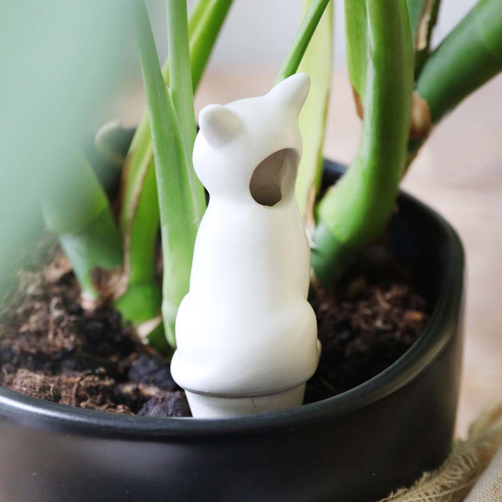 Plant Waterer - Lockwood Shop - Lisa Angel