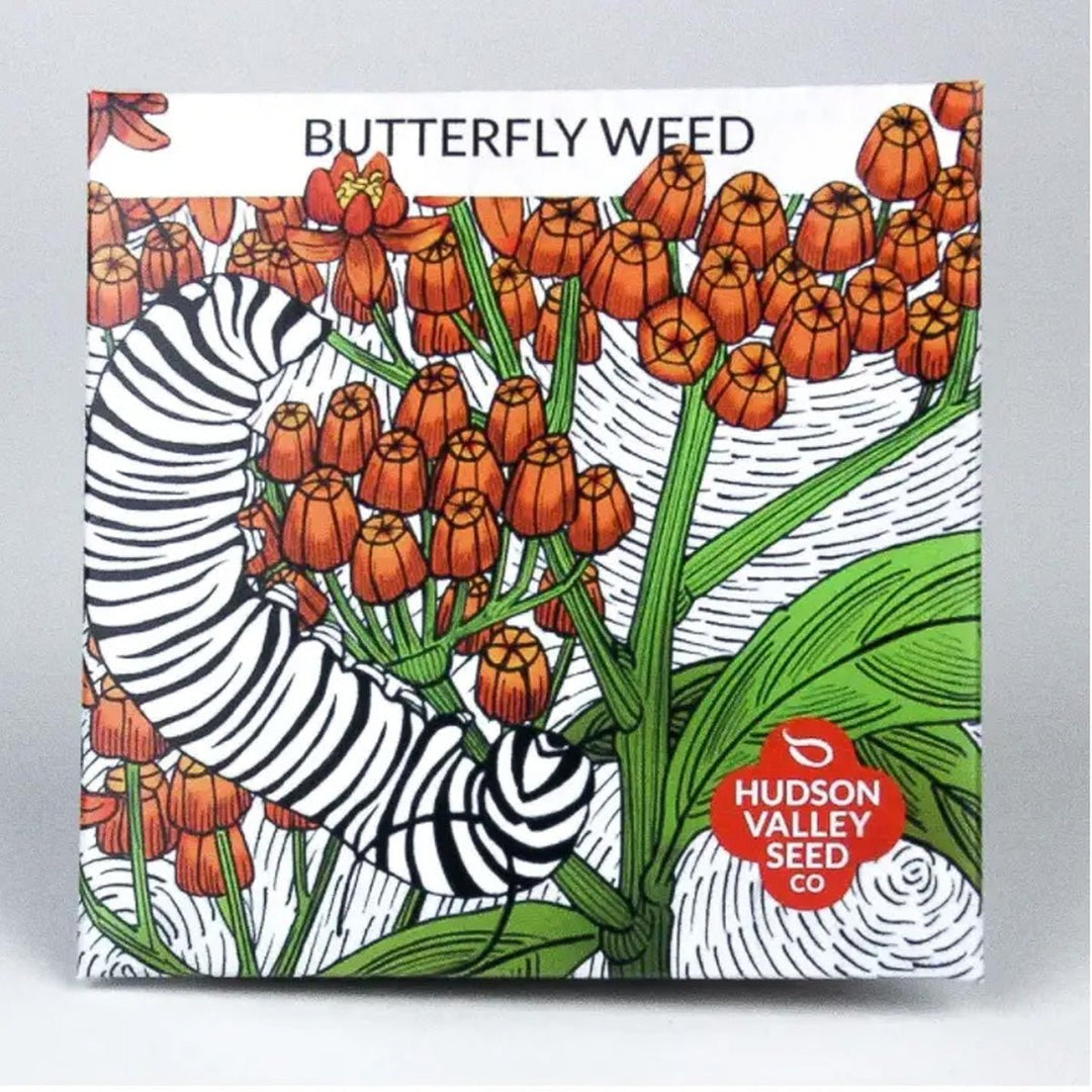 Seed Packet - Lockwood Shop - Hudson Valley Seed Library
