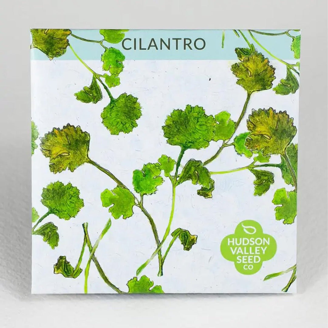 Seed Packet - Lockwood Shop - Hudson Valley Seed Library