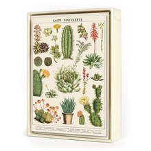 Succulents - Box of 8 Assorted Cards - Lockwood Shop - Cavallini Papers and Co