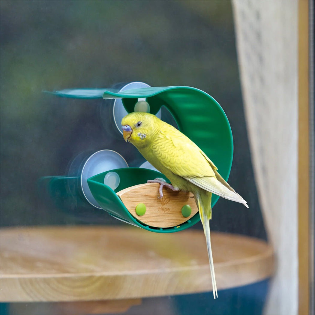 Window Bird Feeder - Lockwood Shop - Hape